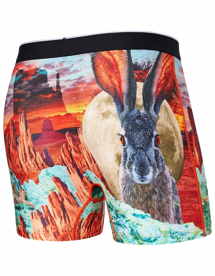 Saxx Saxx Volt Breathable Mesh Boxer Brief | Monument Valley- Multi