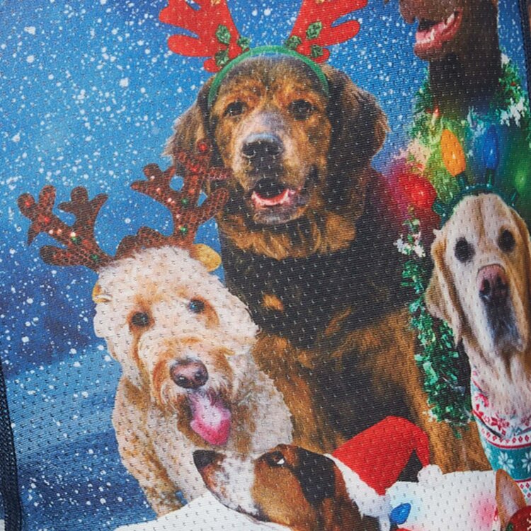 Saxx Saxx Volt Breathable Mesh Boxer Brief | Dogs Of Saxxmas-Blue