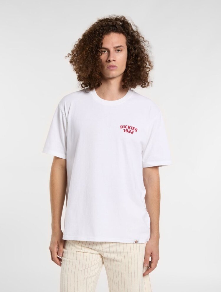 Dickies Dickies Mechanic TShirt | White