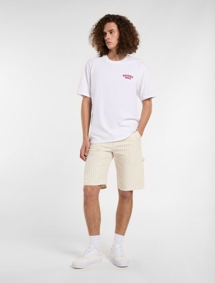 Dickies Dickies Mechanic TShirt | White