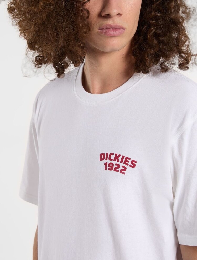 Dickies Dickies Mechanic TShirt | White