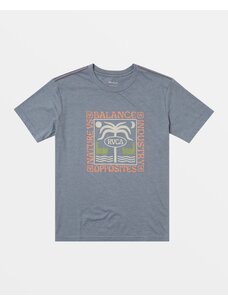 RVCA RVCA Boys Morocco Palm TShirt | Flint Stone