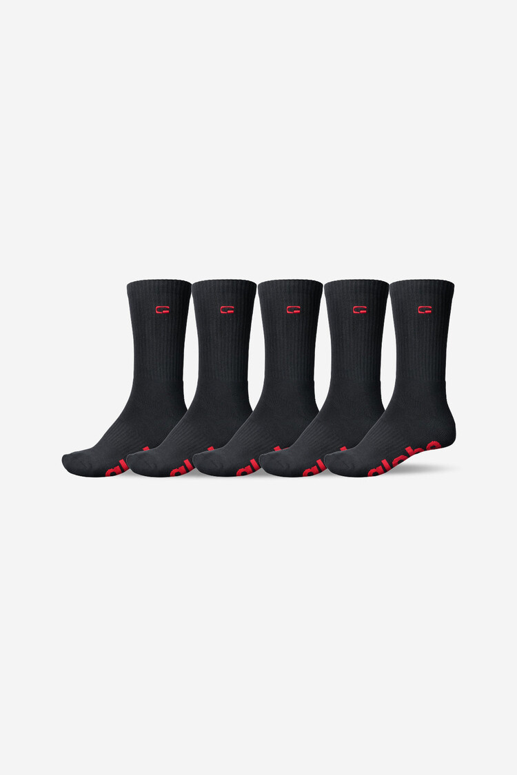 Globe Globe OG Logo Hi Crew Sock 5 Pack