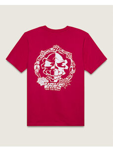 Vans Vans Mister Sinister Boys Tee | Cherries Jubilee