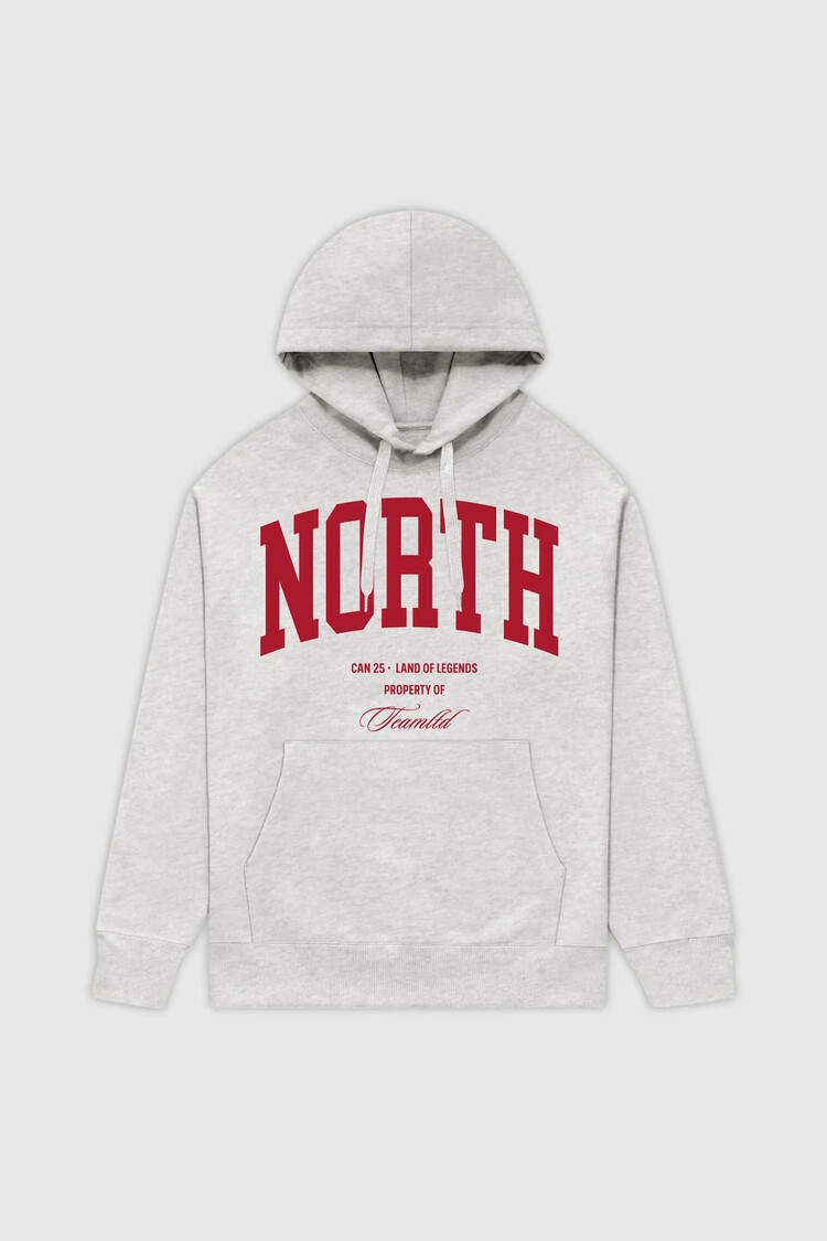 TEAMLTD Youth North Hoodie | Ash