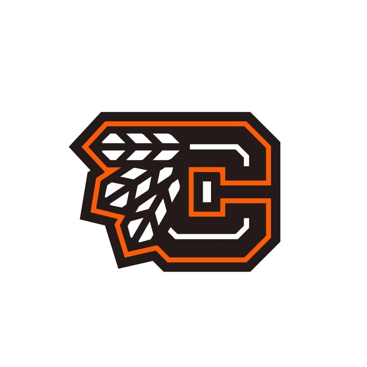 Bones Bones XF Cousins Skateboarding Wheels V5 99A | 52mm