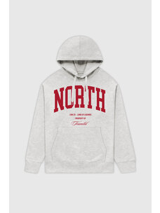 TEAMLTD North Hoodie | Ash