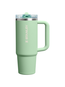Stanley The Quencher Protour Flip Straw Tumbler | Pistachio