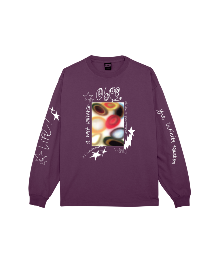 Obey Vast Universe Long Sleeve Tee | Pigment Plump Perfect