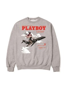 Color Bars Color Bars Take Flight Crewneck | Heather Grey