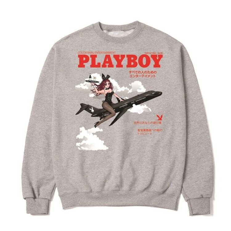 Color Bars Color Bars Take Flight Crewneck | Heather Grey
