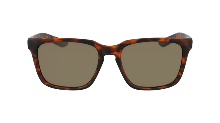 Dragon Baile Polar | Matte Dark Tortoise/ Brown