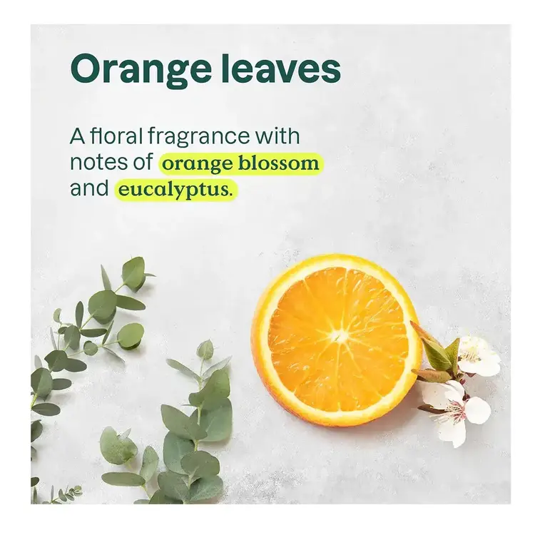 Attitude Hand Cream | Orange Leaves