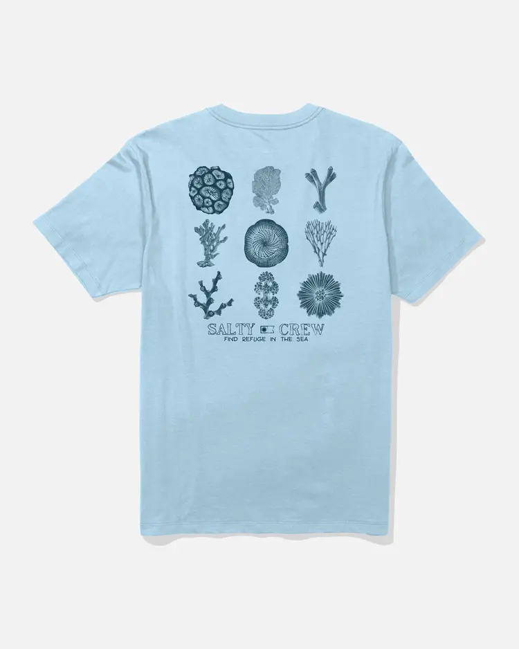Salty Crew Salty Crew Coral Head Short Sleeve Tee | Clear Sky