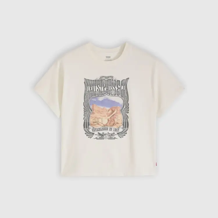 Levi's Anyday Tee | Scenic Desert Poster Tofu