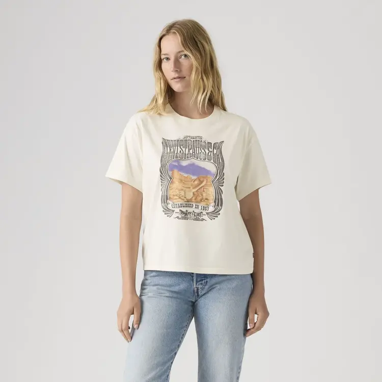 Levi's Anyday Tee | Scenic Desert Poster Tofu
