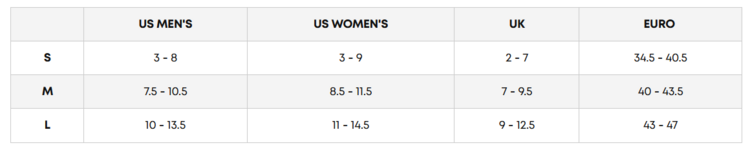 Salomon Salomon Hologram | Black Bindings