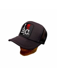 Skull Skates Skull Skates Mesh Cap I Skate BC | Black