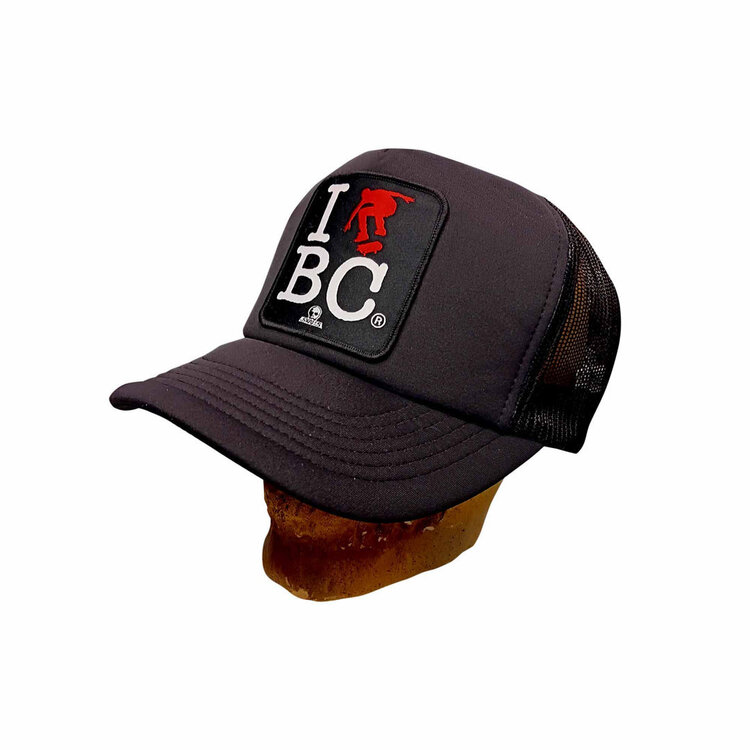 Skull Skates Skull Skates Mesh Cap I Skate BC | Black