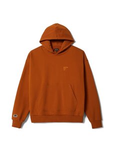 Brixton Brixton Embroidered Heavy Weight Hood | Rustic Caramel