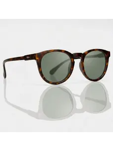 Dot Dash Alumni | Dark Tortiose / G15 Polarized
