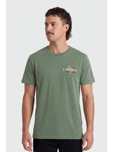 TEAMLTD Organics Tee | Laranja