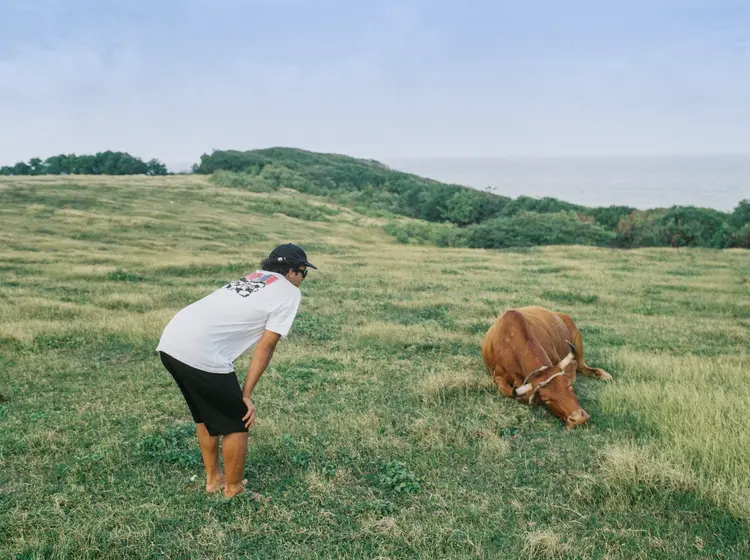 Volcom Volcom Frickin Modern Stretch Short 21 | Black