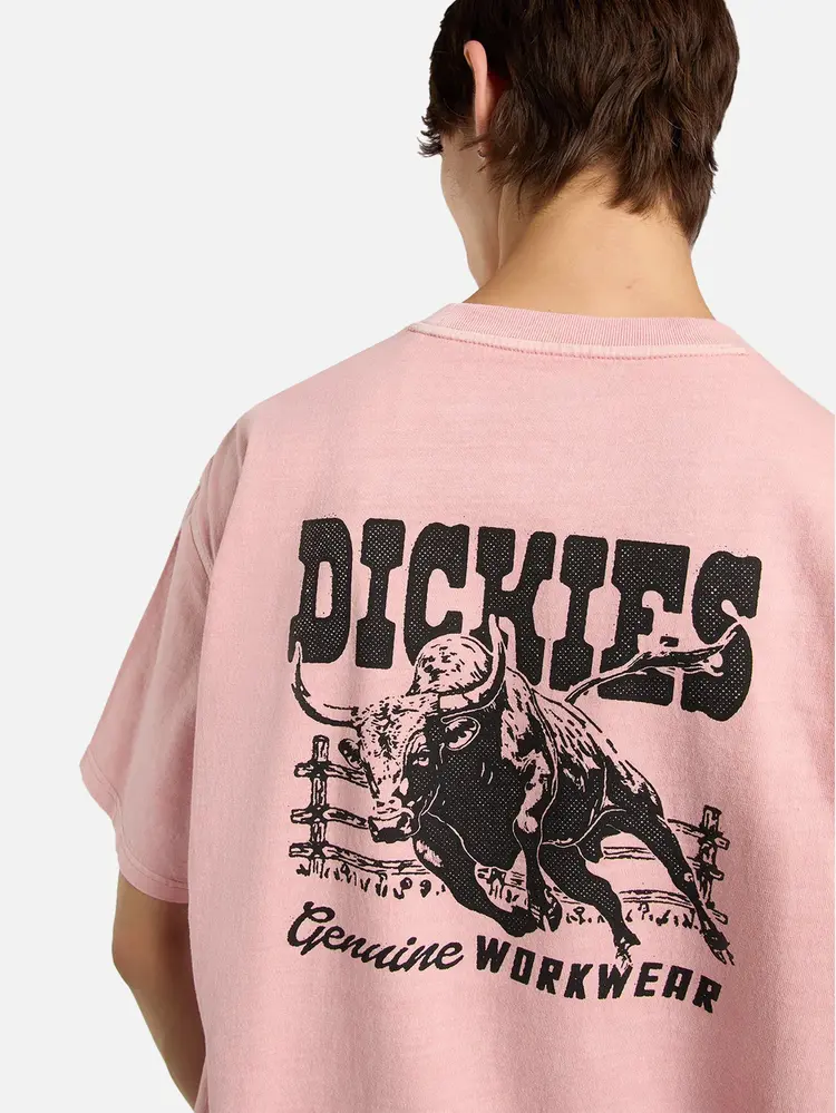 Dickies Mens Buchtell Short Sleeve T-Shirt | Bridal Rose