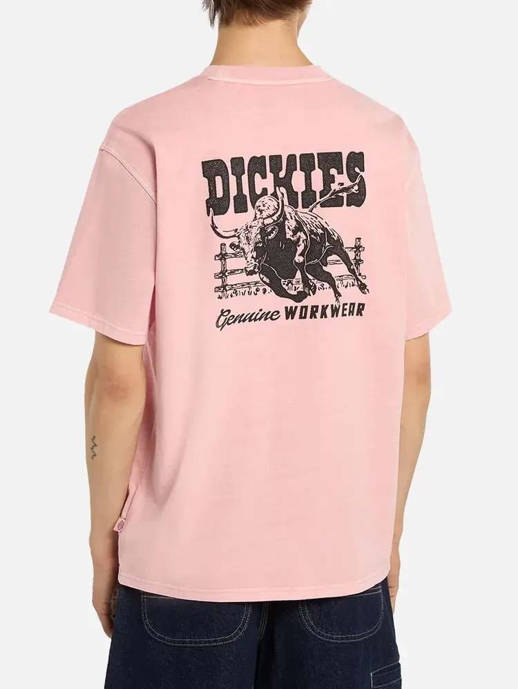 Dickies Mens Buchtell Short Sleeve T-Shirt | Bridal Rose