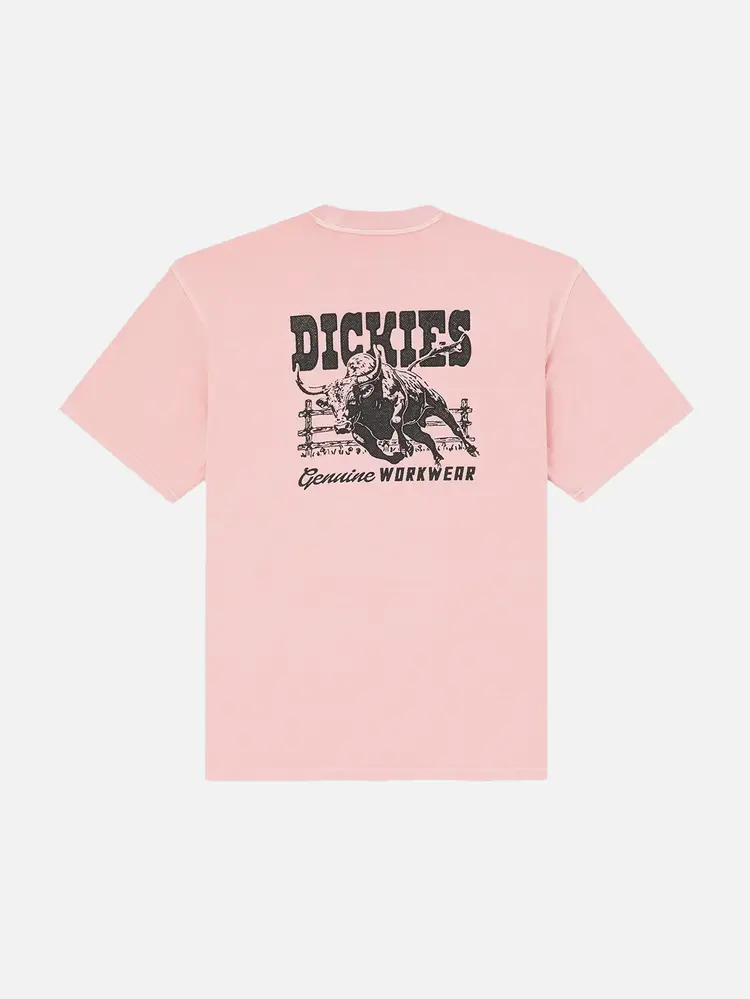 Dickies Mens Buchtell Short Sleeve T-Shirt | Bridal Rose