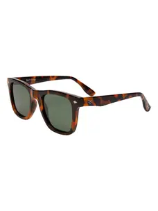 I-SEA Rhythm | Tort/Green Polarized