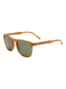 I-SEA I-Sea Cove | Sunshine/Green Polar