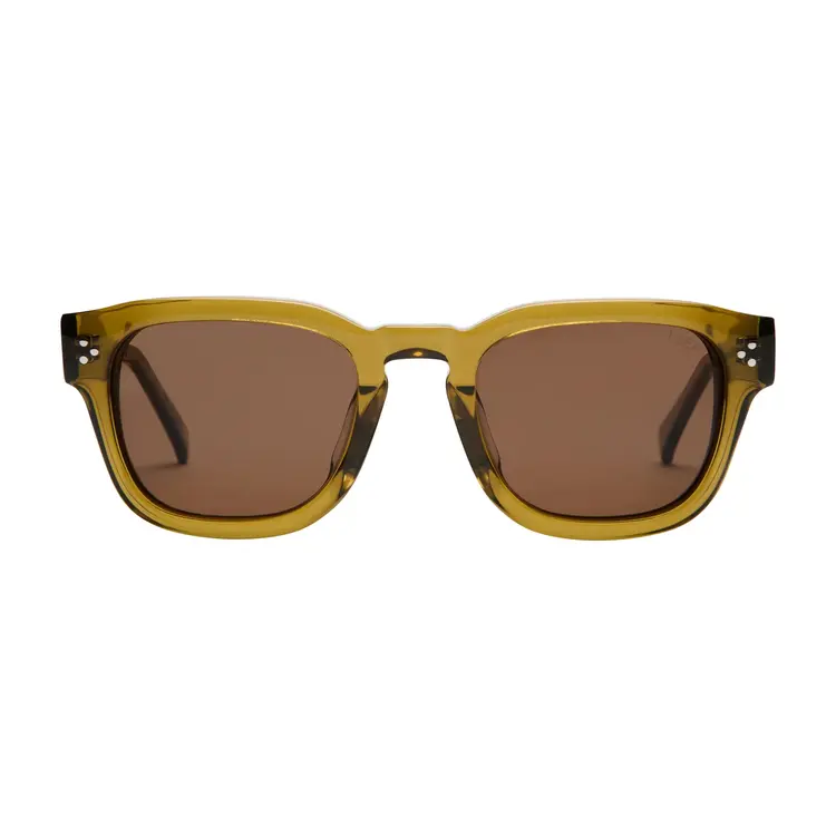 I-SEA I-sea Camden | Kelp/Brown Polarized
