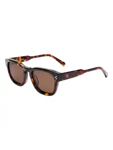 I-SEA Camden | Tort/Brown Polarized