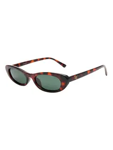 I-SEA Roxie | Tort/Green Polarized