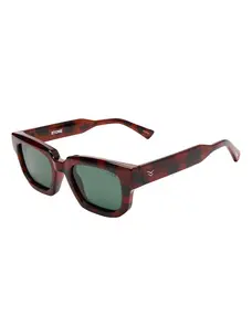 I-SEA Stone | Tort/Green Polarized