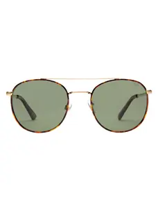 I-SEA Easton | Tort/Green Polarized