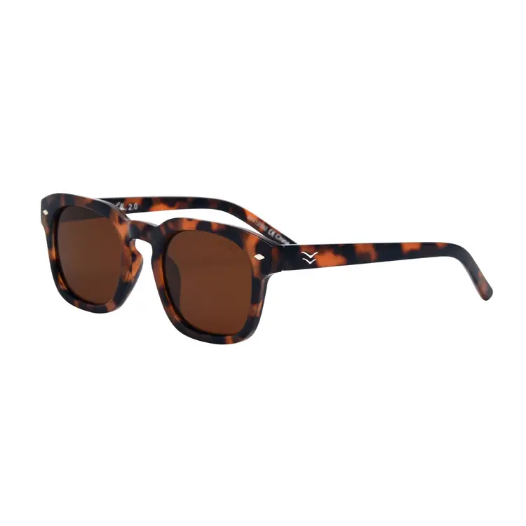 I-SEA I-Sea Blair 2.0 | Tort/Brown Polarized