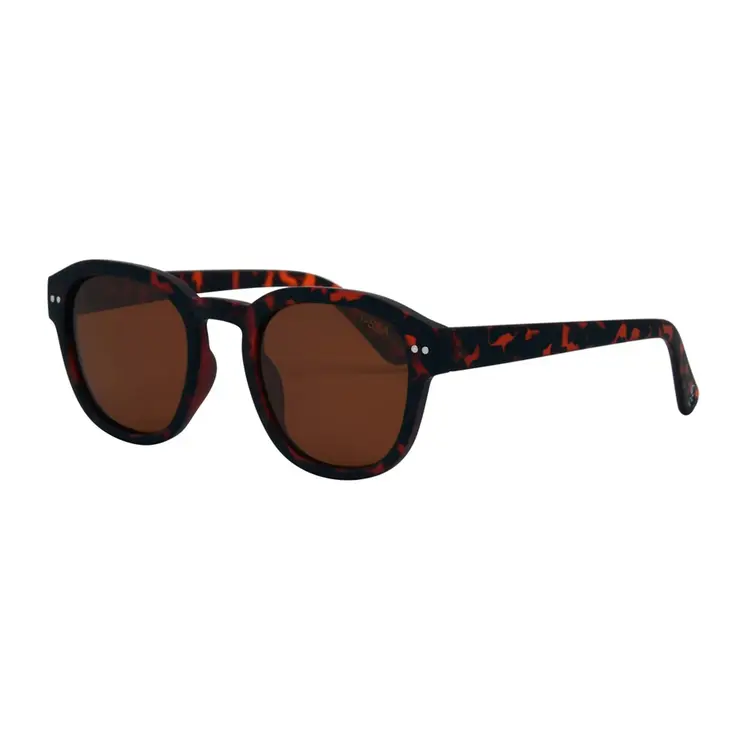 I-SEA I-Sea Barton | Tort/Brown Polar