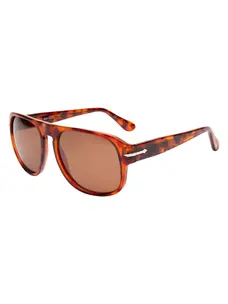 I-SEA Bayside | Honey Tort/Brown Polarized