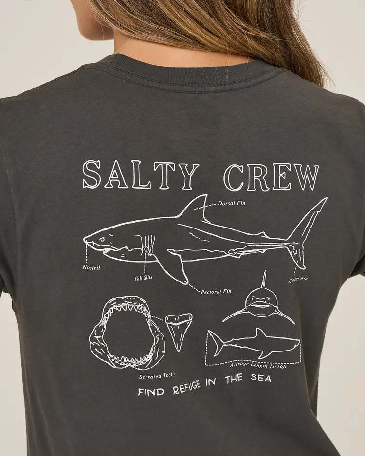 Salty Crew Salty Crew Shark Anatomy Modern Tee | Charcoal
