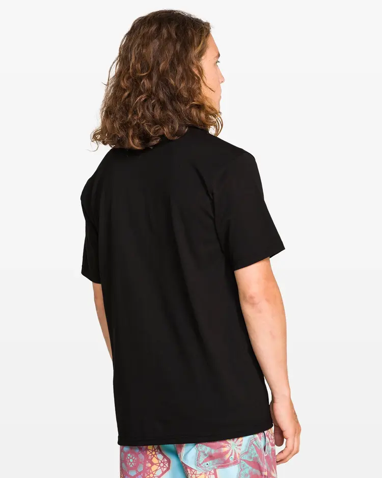 Volcom Volcom Star Shields Featured Exp Short Sleeve Tee | Black