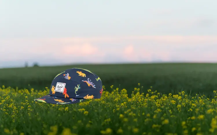 Herschel Herschel Glendale Kids Cap | Watercolour Dinos Darkest Navy