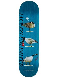 Jacuzzi Jacuzzi Mitchell Geese Deck | 8.5
