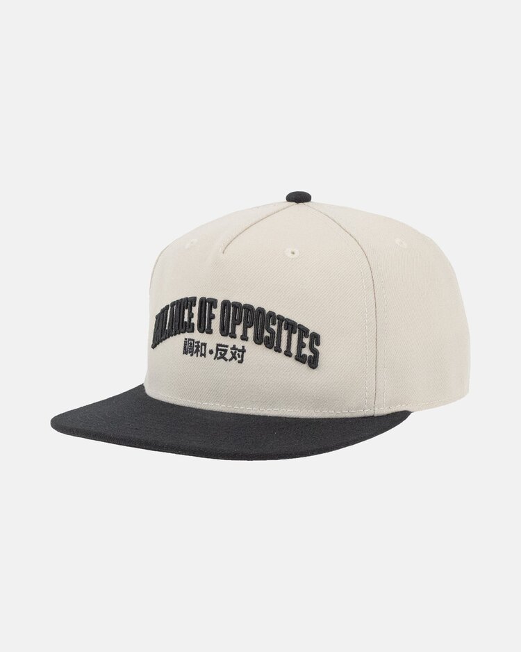 RVCA RVCA Foreign Snapback | Natural