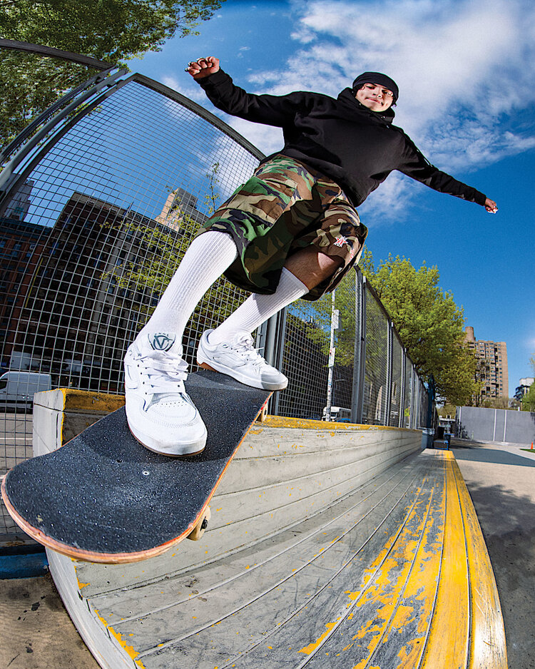 Vans Vans Skate Rowan Z3 | White/Gum
