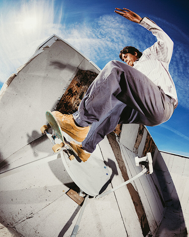 Vans Vans Skate Rowan Z3 | Chipmunk