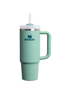 Stanley Quencher Flow Tumblr | Sprg Grn