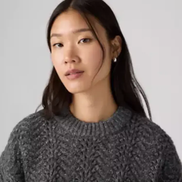 Levi's Levis Charlotte Pointelle Sweater | Char