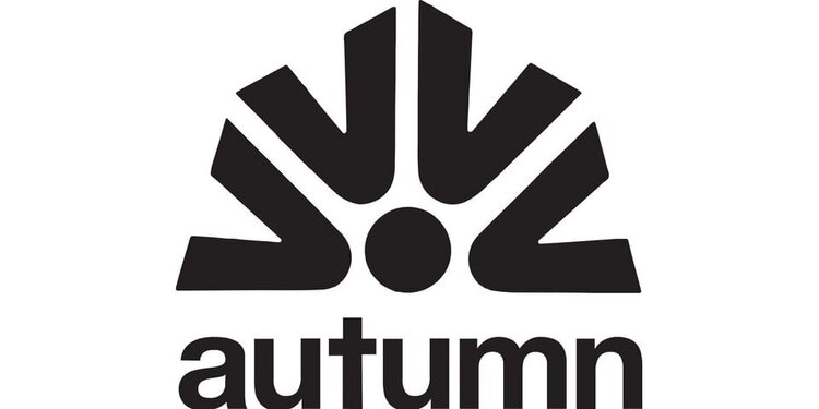 Autumn Patchwork Beanie | Lemonade